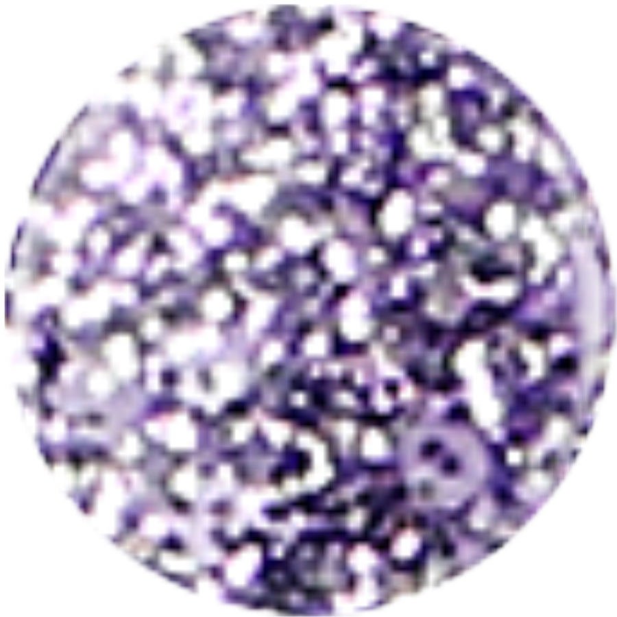 DIVA 160 - Diamonds Dancing