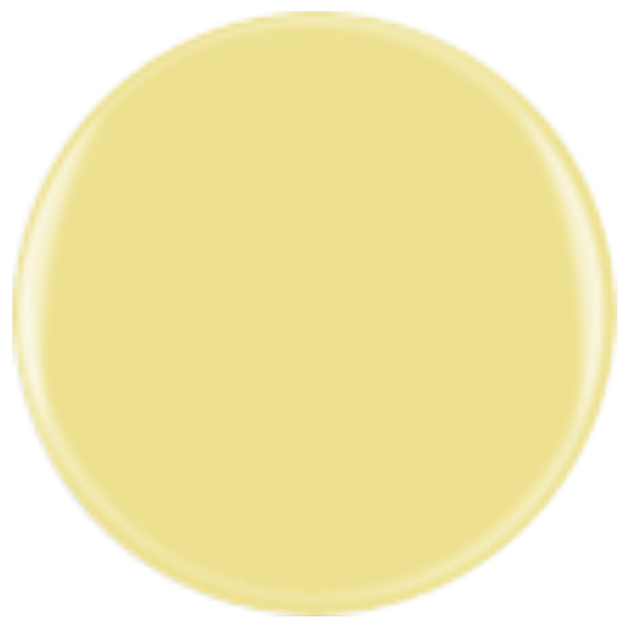 DIVA 164 - Buttercup