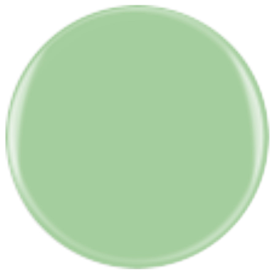DIVA 170 - Mint Chocolate Chip