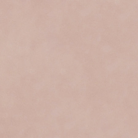 SNS (LV) C'est La Vie Collection 1oz