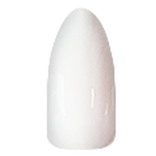 Chisel Super White 12oz